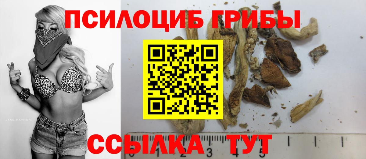 Кирово-Чепецк  Галлюциногенные грибы Psilocybe  Вход с VPN 